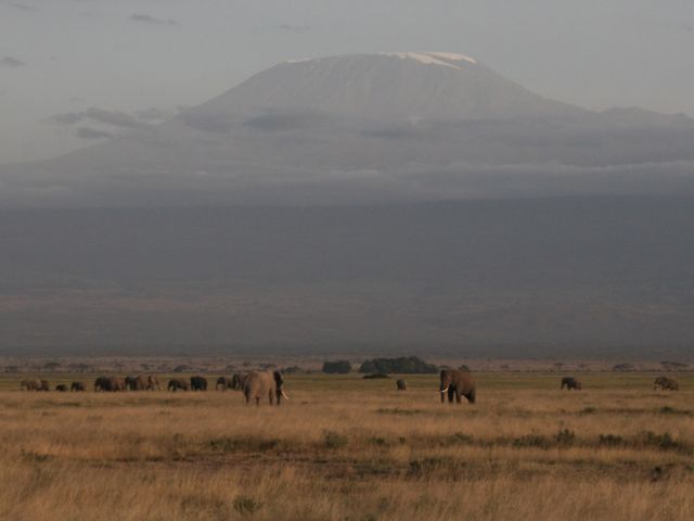Parc national Amboseli