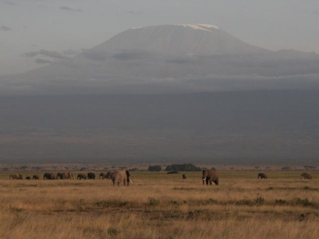 Kilimanjaro