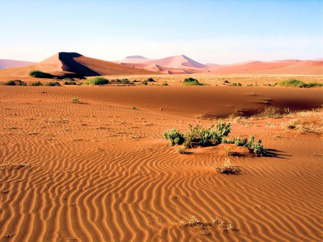 Ancient dunes