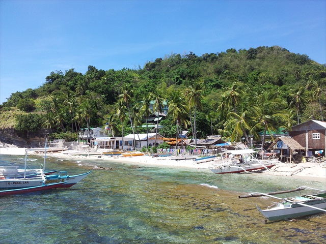 Apo Island