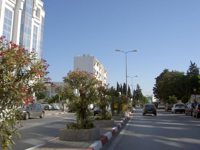 Ariana street