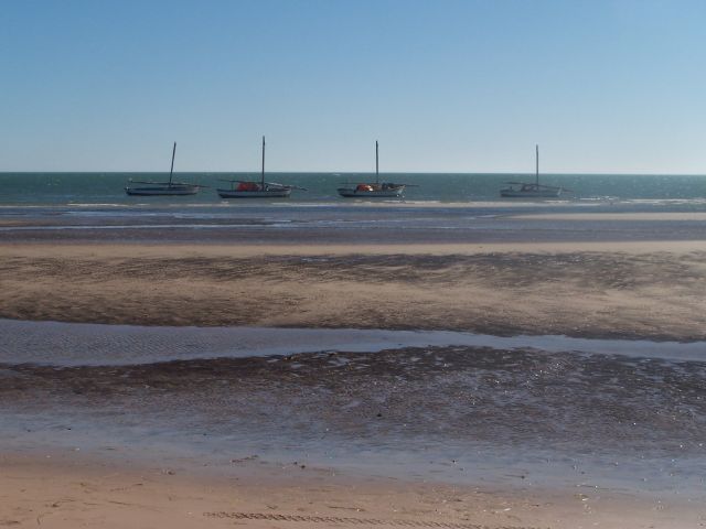 Fishing boats