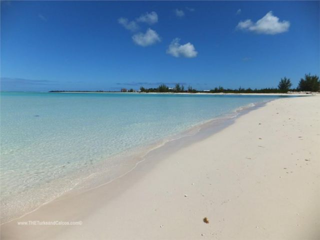 Ile de Parrot Ambergris Cay