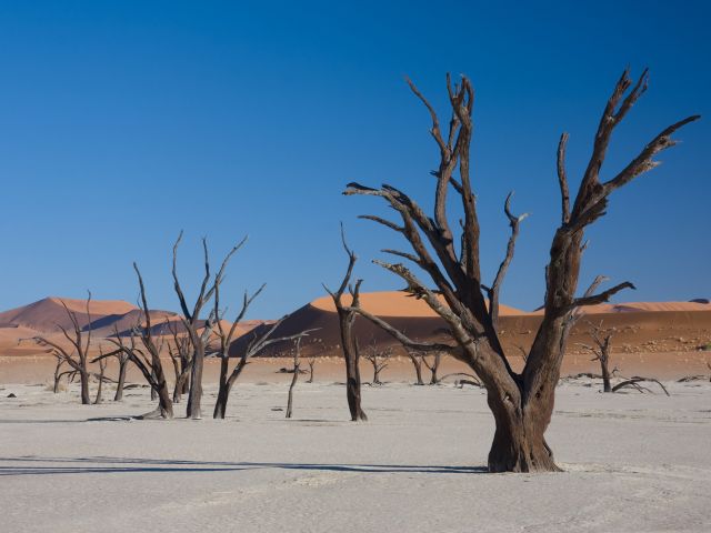 Parc national de Namib-Naukluft