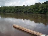 Pirogue, réserve de faune du Dja