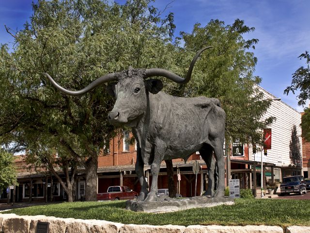 Longhorn Statue