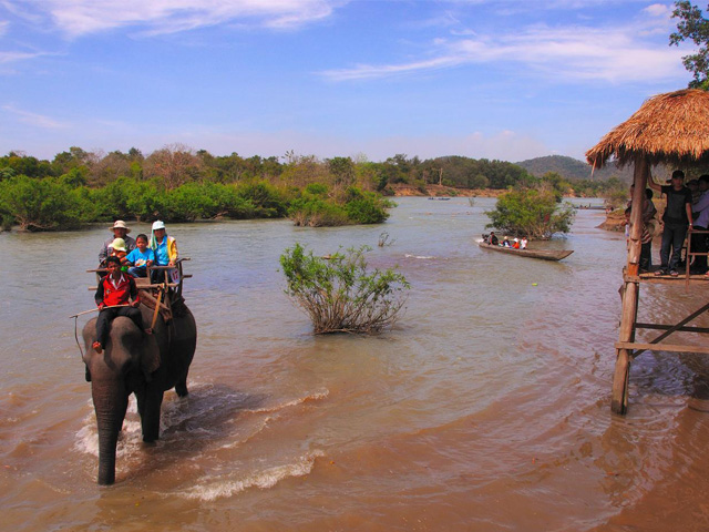 Elephant riding