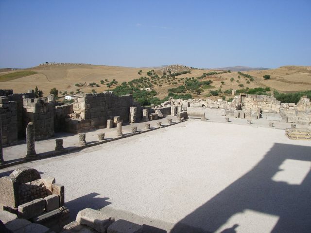 Forum