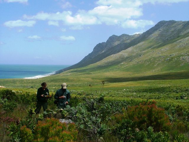 Aires protégées de la Région florale du Cap