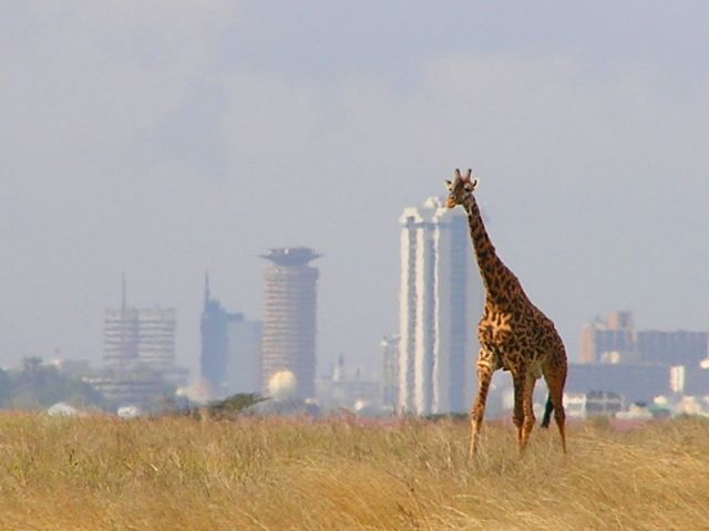 Parc national de Nairobi