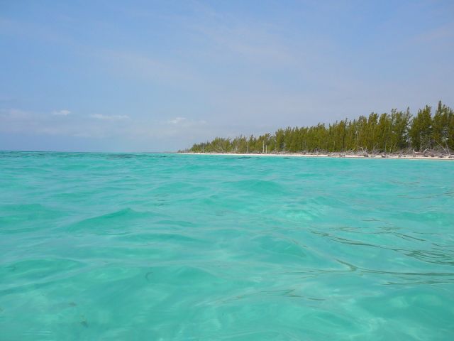 Grand Bahama