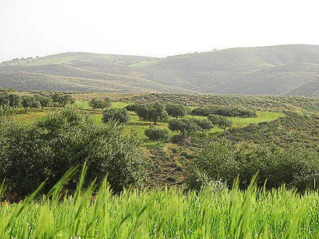 Jebel Akhdar