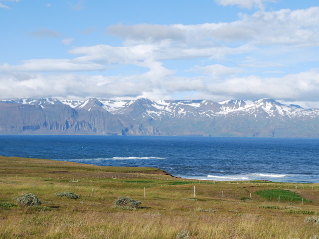 Skjalfandi bay