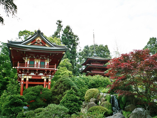 Golden Gate Park