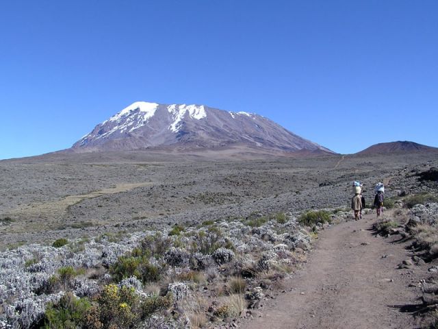 Parc national du Kilimandjaro