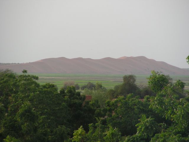 La Dune Rose