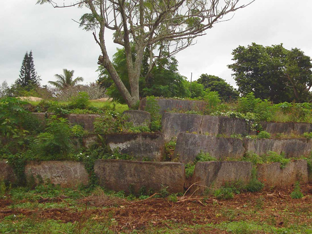 Langi Tau'atonga