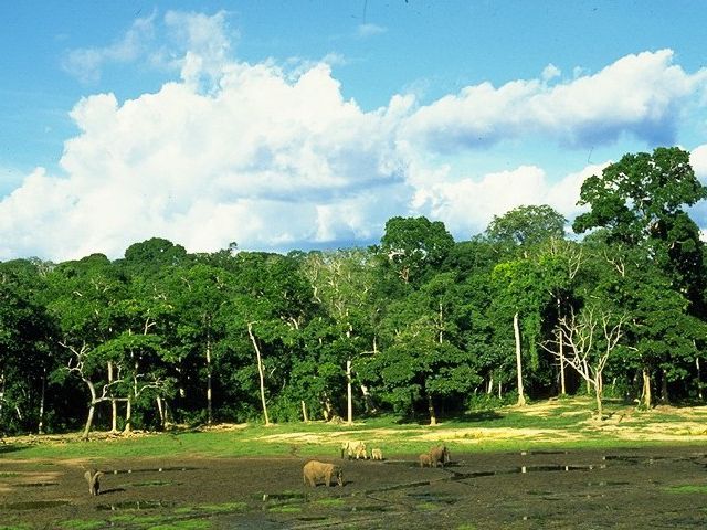 Wetland