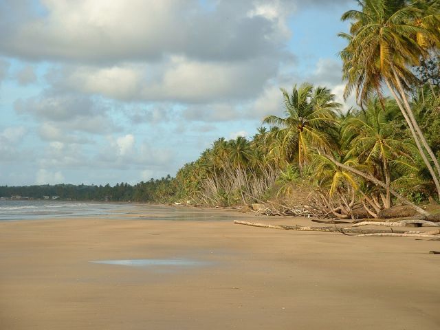 Mayaro Beach