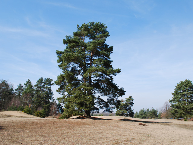 Nature reserve