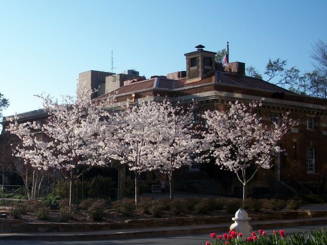 Old Post Office