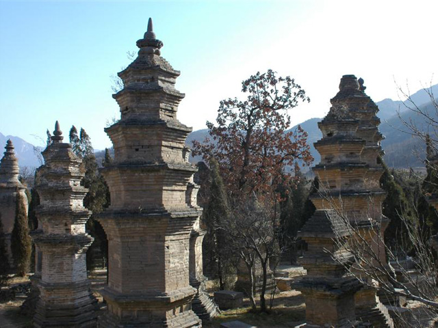 Forêt de Pagodes du Temple de Shaolin