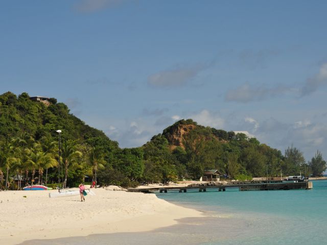 Ile Palm