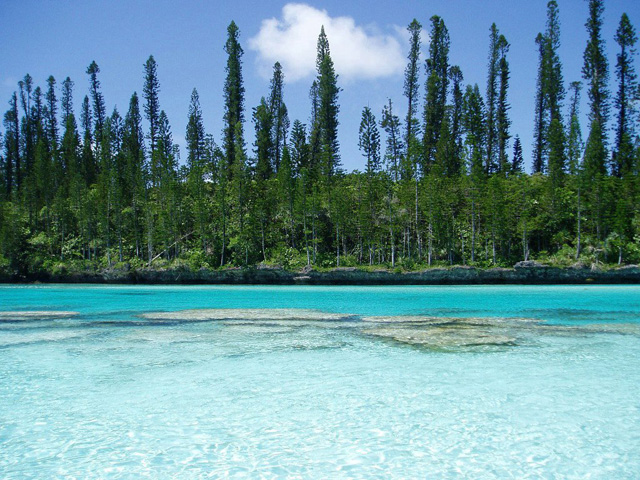 Piscine naturelle