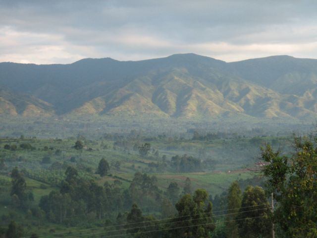 Rwenzori mountains