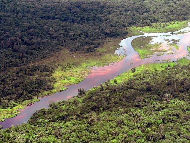 Parc national de la Salonga