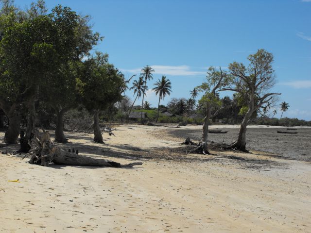 Shimoni beach