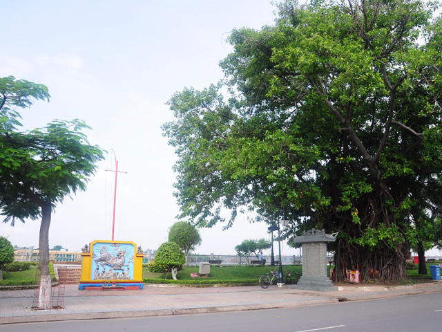 Stele and big tree