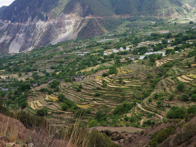 Terraces