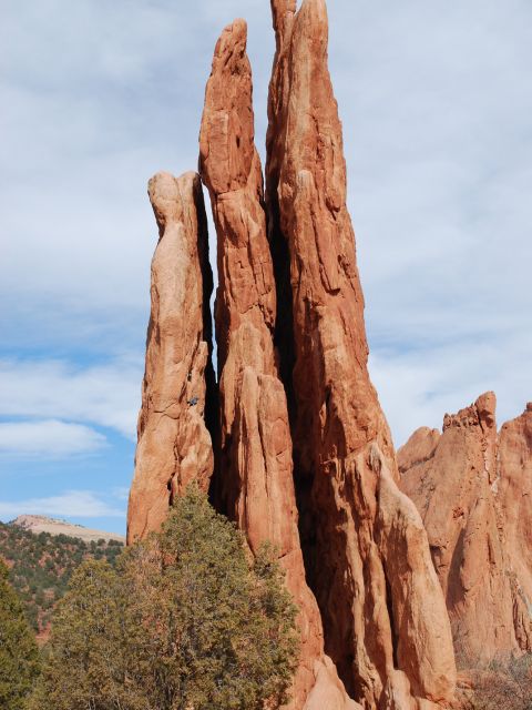 Three Graces