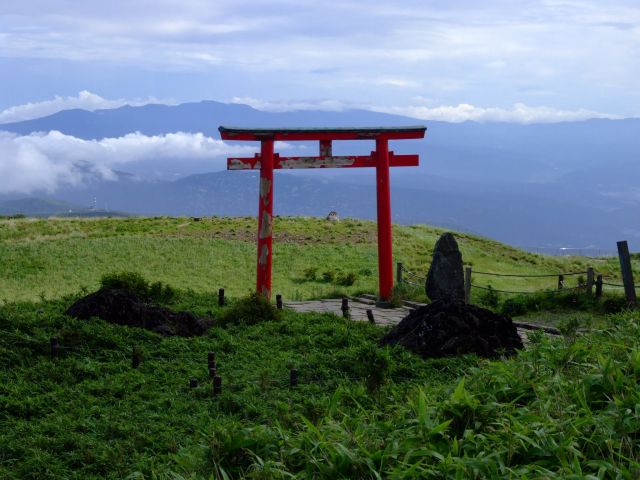 Torii