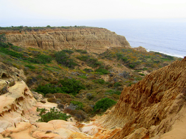 Réserve d'État des pins de Torrey