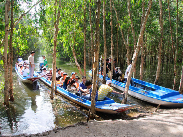 Boats, Tra Su Flooded Indigo forest