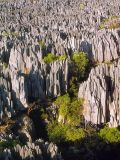 Réserve naturelle intégrale du Tsingy de Bemaraha