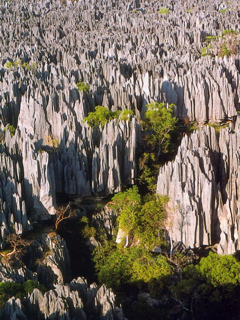 Réserve naturelle intégrale du Tsingy de Bemaraha