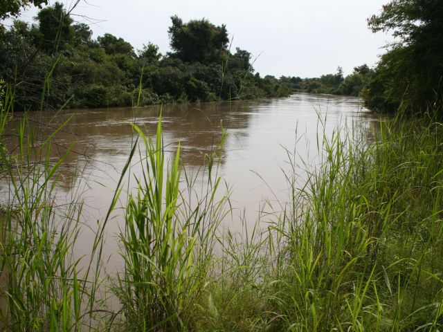 Mekrou river