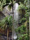 Cascade, réserve naturelle de la vallée de Mai