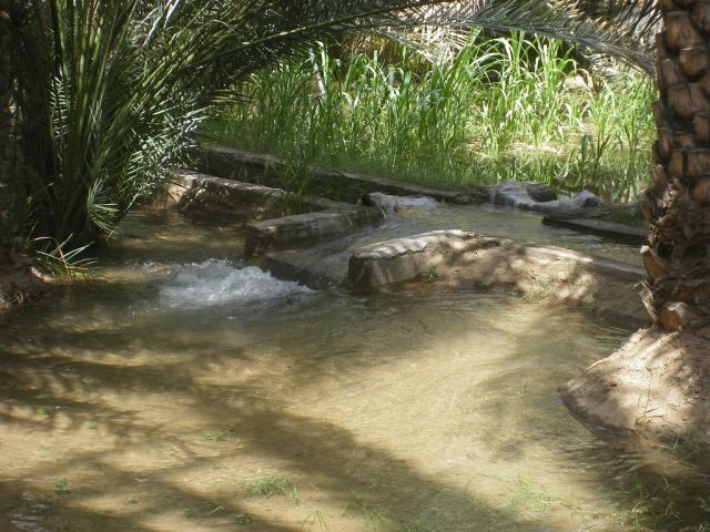 Systèmes d'irrigation aflaj d'Oman