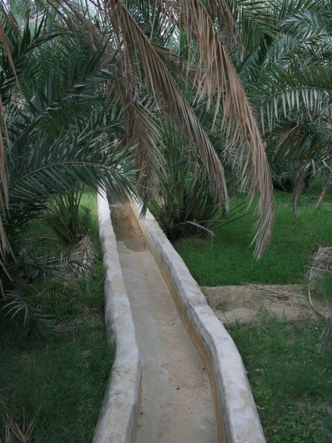 Al Ain Oasis