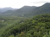 Forêt atlantique - Réserves du sud-est