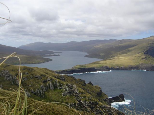 Auckland Island