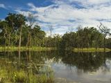 Lac Bish Hajari, parc national de Chitwan