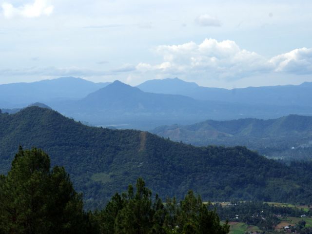 Parc National Bukit Barisan Selatan