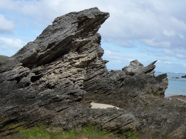 Calcarenite karst