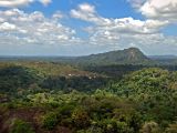 Forêt primaire tropicale, réserve naturelle du Suriname central