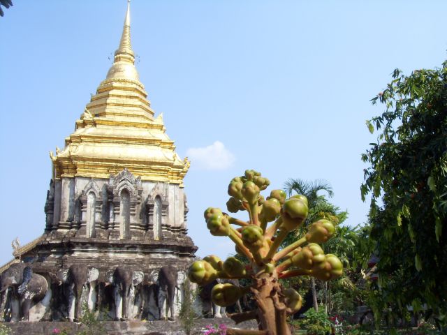 Chedi Chang Lom